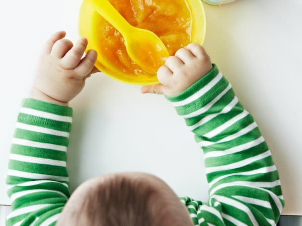 A small child sitting at the table and reaching for a plate of baby food
