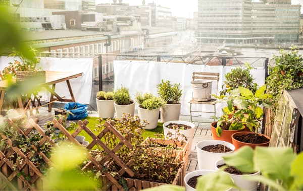 A small rooftop garden is set up with a patch of grass, 