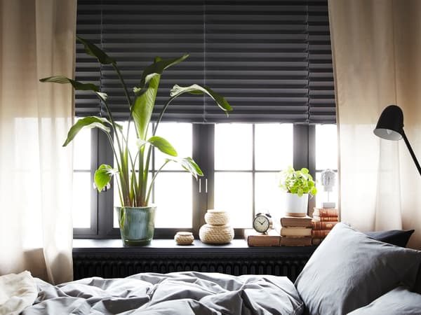 A sofa-bed, used as a bed, stands in front of windows with SCHOTTIS block-out pleated blinds and sheer curtains.