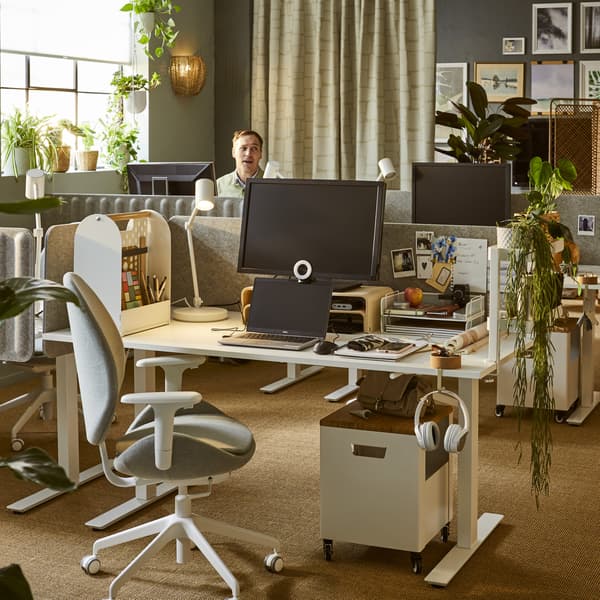 A softly sunlit office with several MITTZON desks and acoustic screens as workspaces, leafy plants, decorations and wall art.