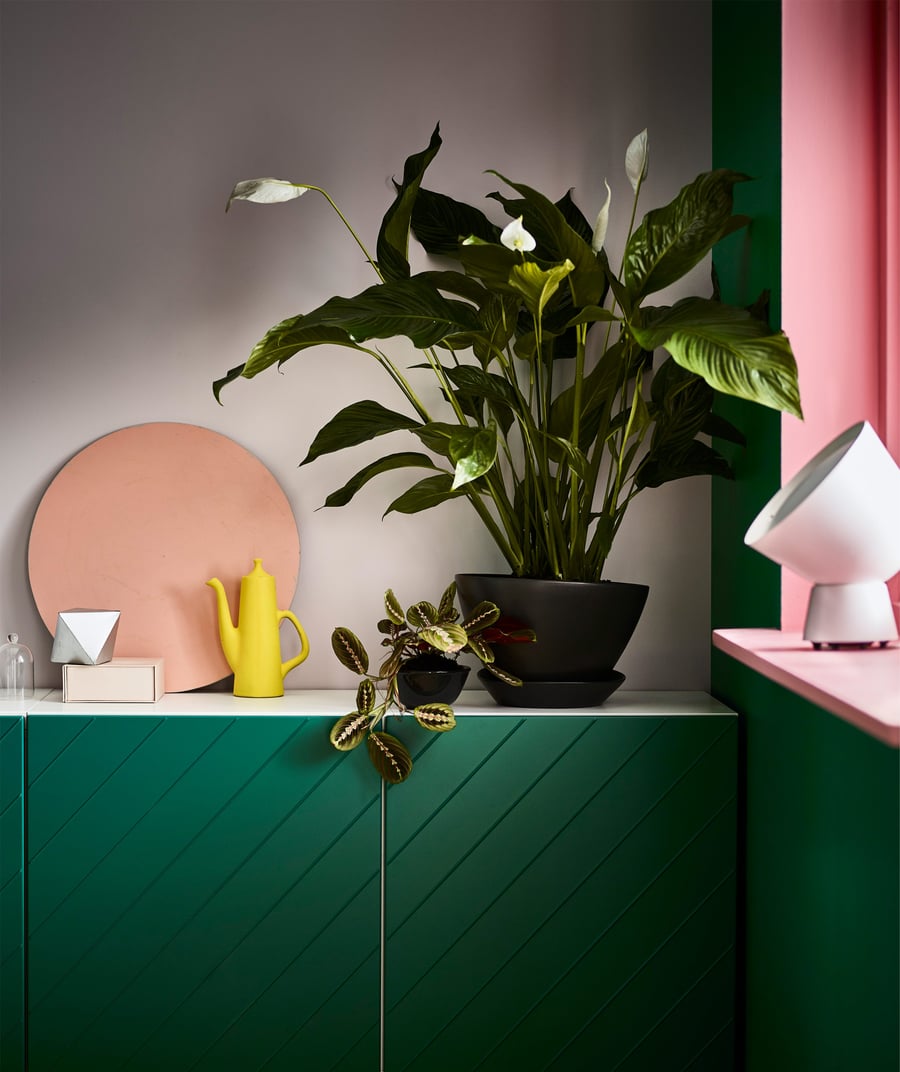 How to grow plants indoors IKEA