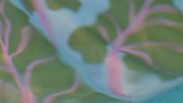A still from the collection film highlighting the pink, blue and green BASTUA pattern with large rhubarb leaves.