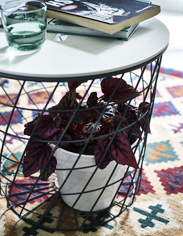 A storage table with a plant inside the base, on a patterned rug.