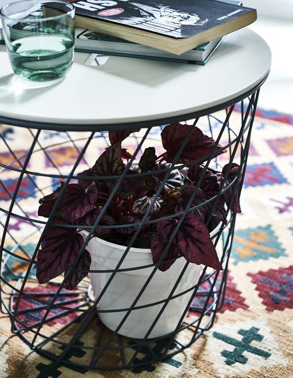 A storage table with a plant inside the base, on a patterned rug.