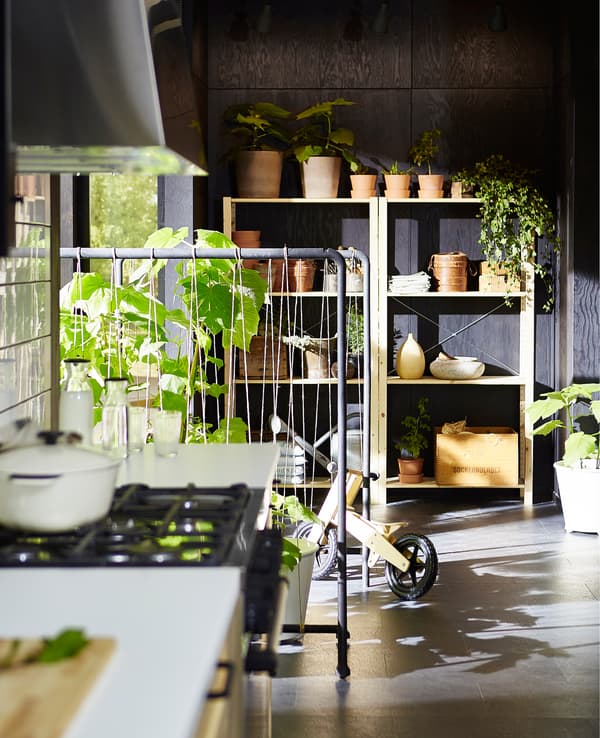 A swedish kitchen with lots of plants growing in the background.