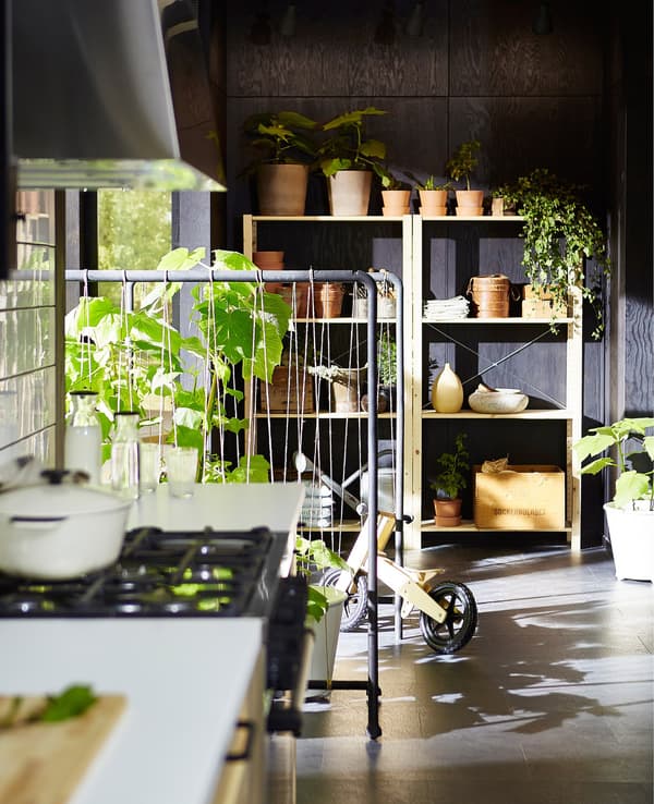  A Swedish-styled kitchen with lots of plants growing in the background.