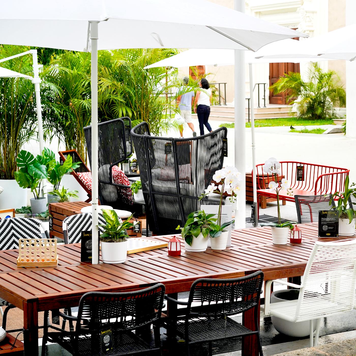 A table and chairs with plants