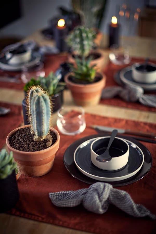 A table setting in autumn colors with cactuses as decoration