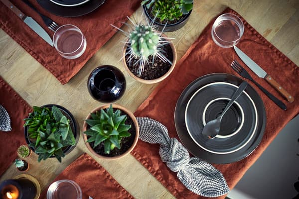 A tablesetting with black plates and bowls, cloth napkins, rust colored placemats and four cactuses.