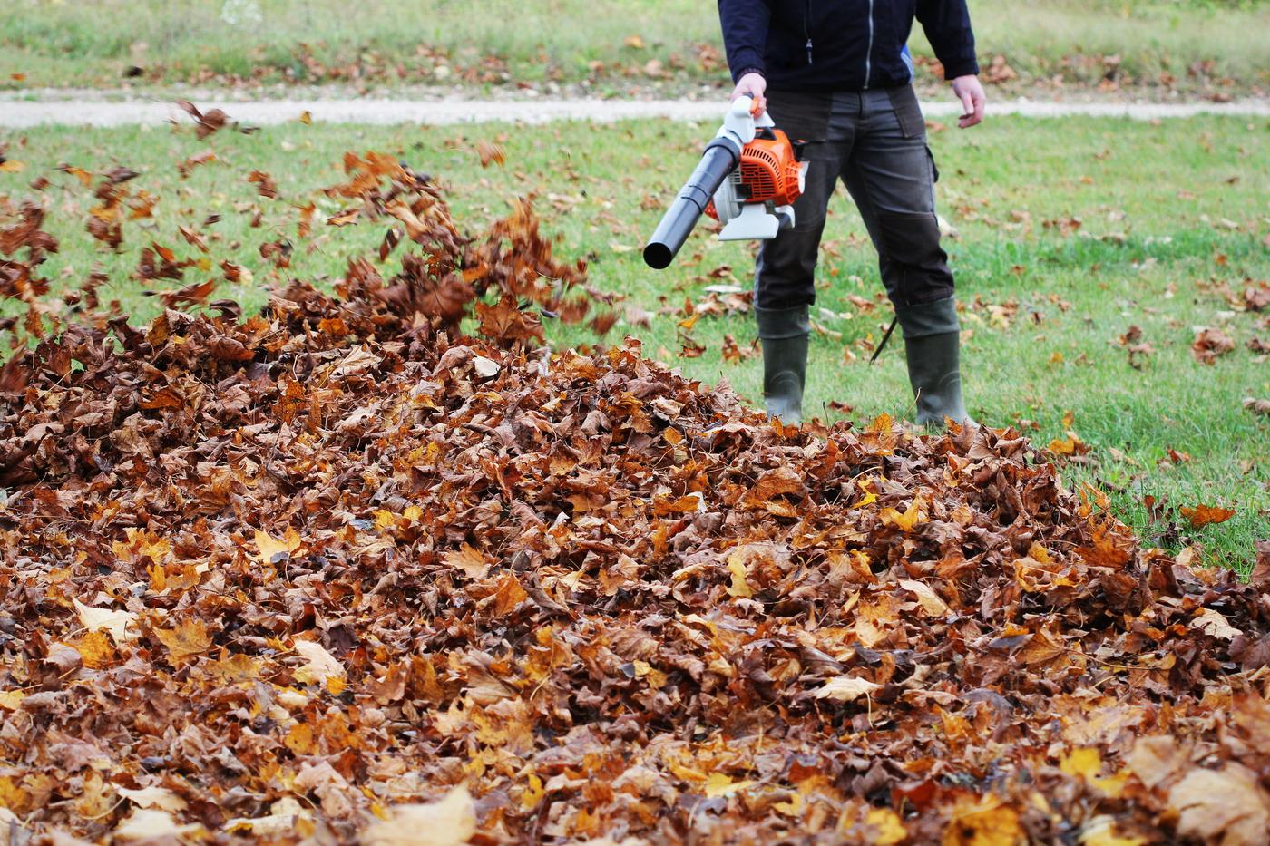 A Task rabbit tasker blowing some leaves off the grass.