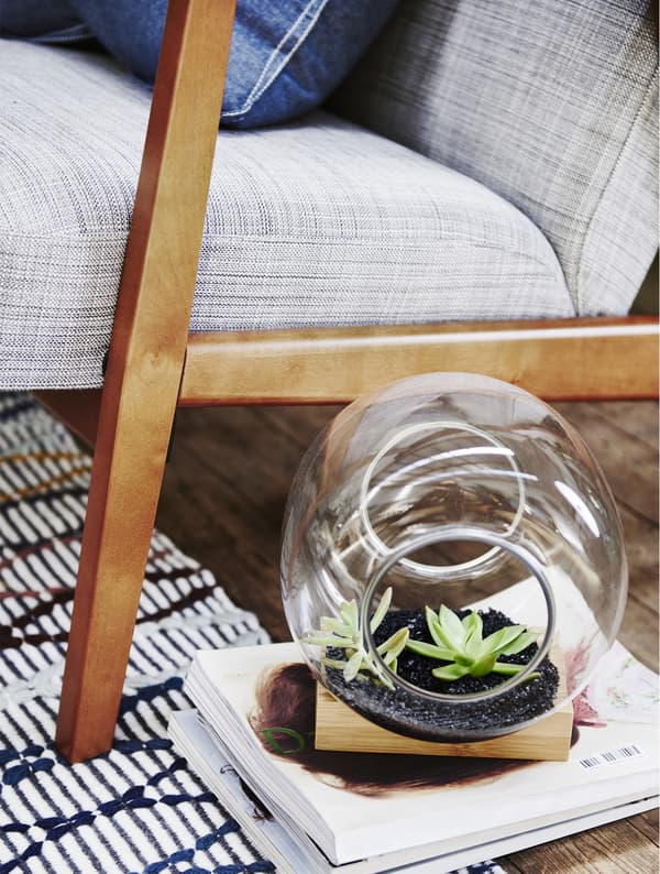 A terrarium on a pile of magazines next to a grey sofa.