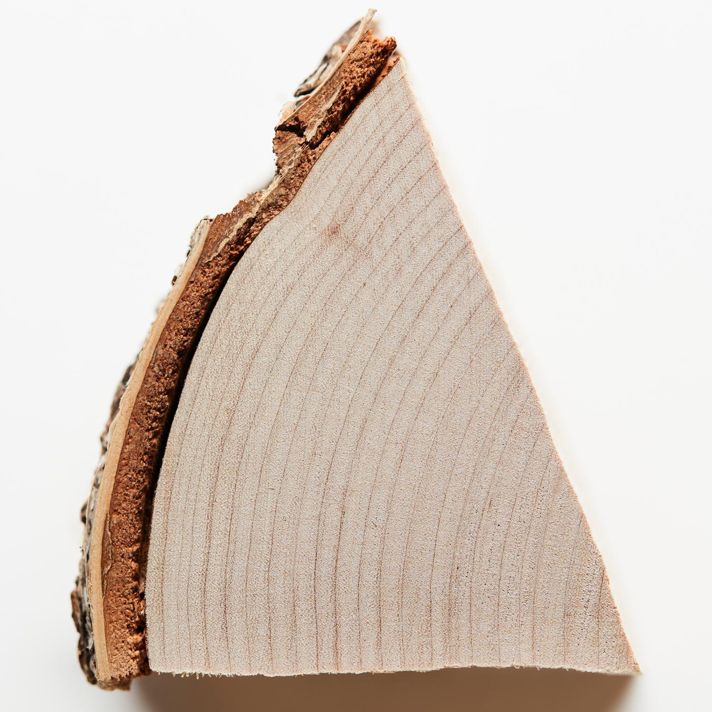 A top view of a birch wood log, showing details of the wood grain. Part of a collage of images of an ADLAD candle and wood.