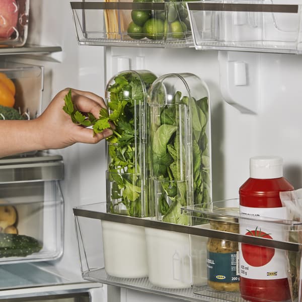A transparent KLIPPKAKTUS herb storage for fridge