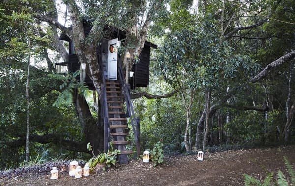 A tree house in Margaret’s garden with white lanterns at the bottom of the staircase.