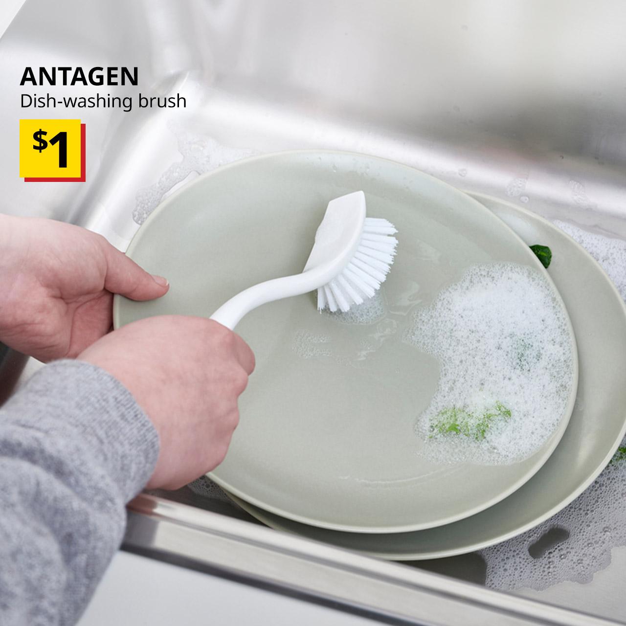 A white ANTAGEN dish-washing brush is being used to clean a plate. Black text over image on the left that reads "ANTAGEN, Dish-washing brush", with breath-taking price tag of $1.