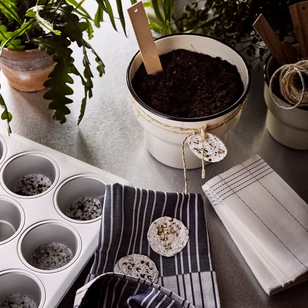 A white/blue VERKLIGHET paper napkin in the kitchen