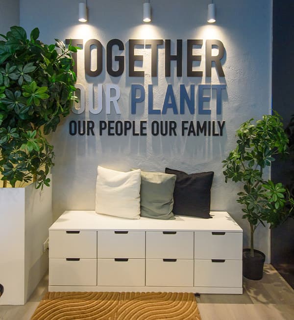 A white chest of drawer with cushions on top with artificial plants placed beside.