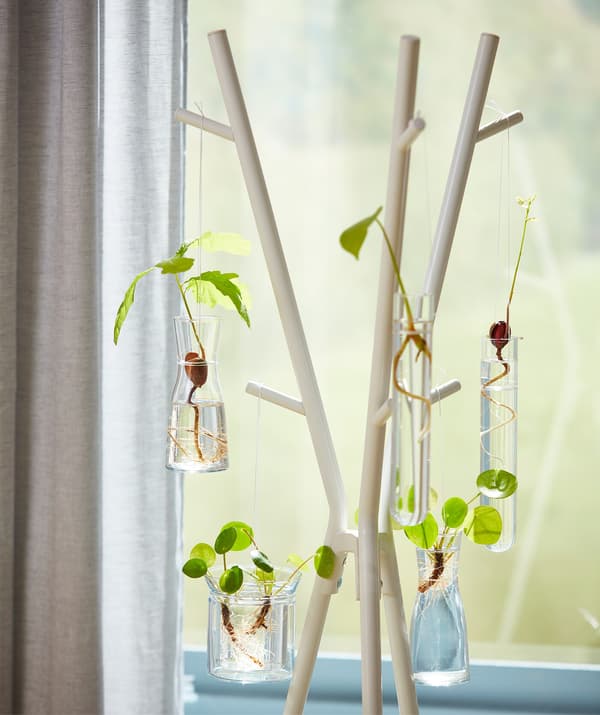 A white EKRAR hat and coat hanger made from steel is being used for hanging baby plants in the sunlight.