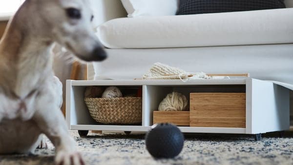 A white underbed storage/bedside table with castors has boxes and a basket inside it under a sofa. A dog with a toy ball is shown on the side.