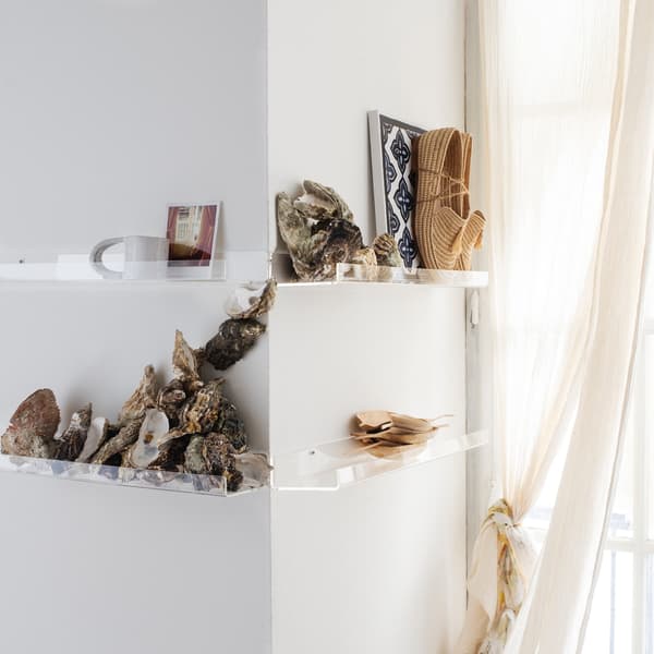 A white wall by the window with clear wall shelves holding oyster shells and other decor.