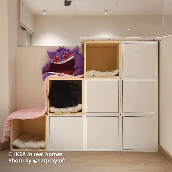 A white/yellow EKET shelving units with doors near the door entrance/hallway as shoe storage, with 3 EKET open shelving units cushions placed for homeowner's cats. IKEA in real homes Photo by @eatplayloft.