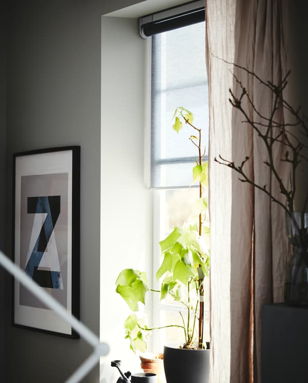 A window with a grey roller blind, beige curtains and a green plant in a dark grey plant pot. A framed poster hangs beside.