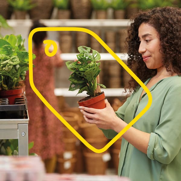 A woman holds a plant in her hands.