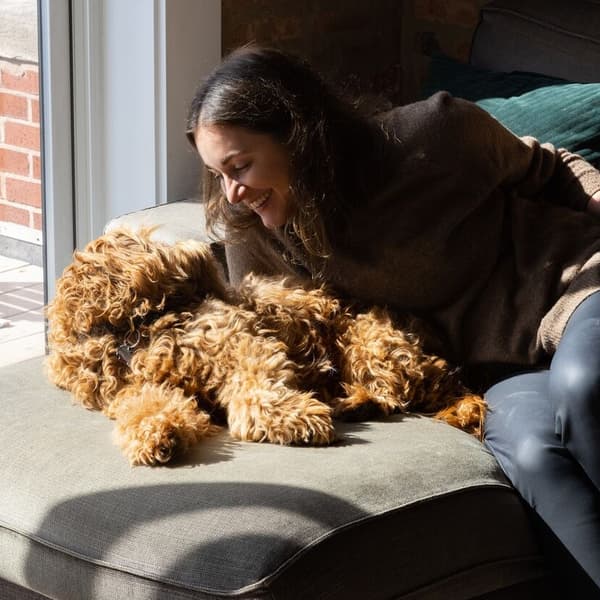 A woman smiling and leaning toward a fluffy brown dog lying on a couch by a window.