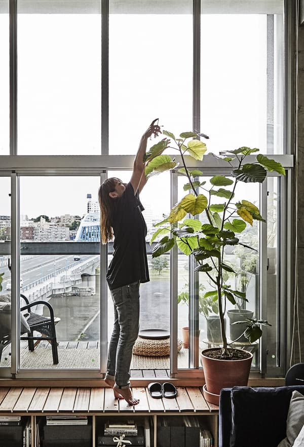 A woman watering a tall plant in front of a window.