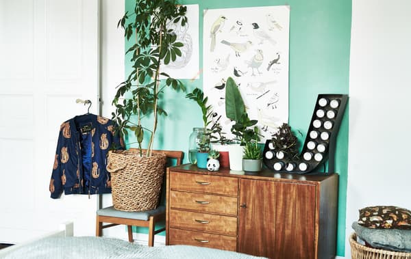 A wooden chair and cabinet holding potted plants of different sizes in a bedroom with a light-green wall.