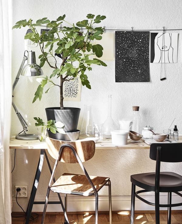 A wooden desk with plants and a lamp.