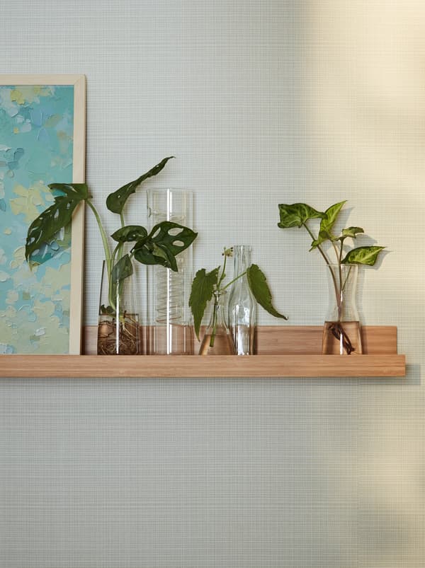 A wooden MÅLERÅS picture ledge on a wall with three contemporary vases and one IKEA PS candlestick vase with plantlets.