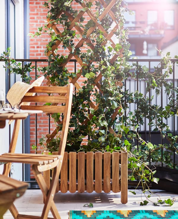 A wooden trellis with vines growing throughout gives privacy to a balcony.