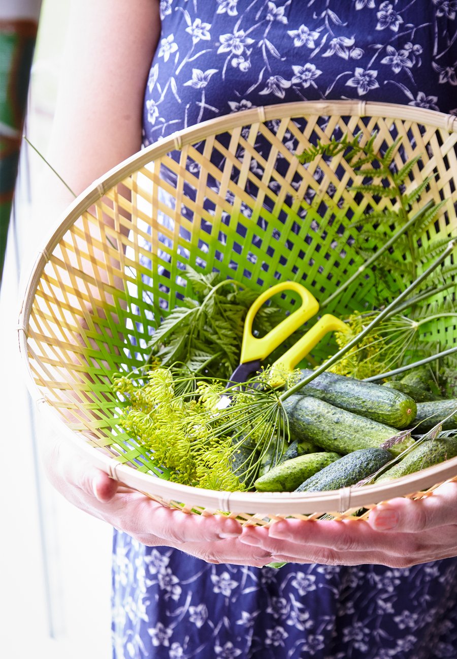 How to pickle and preserve a summer harvest at home IKEA