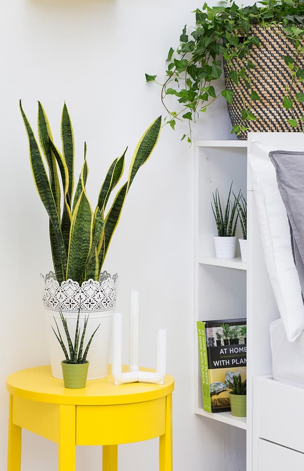 A yellow side table with potted plants and candle holder.