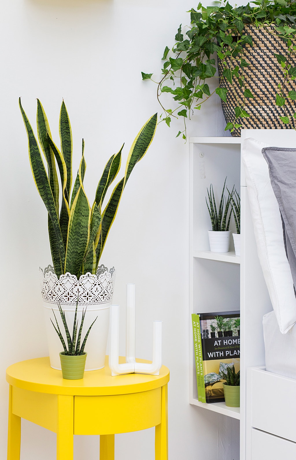 Our favourite bedroom plant ideas IKEA IKEA