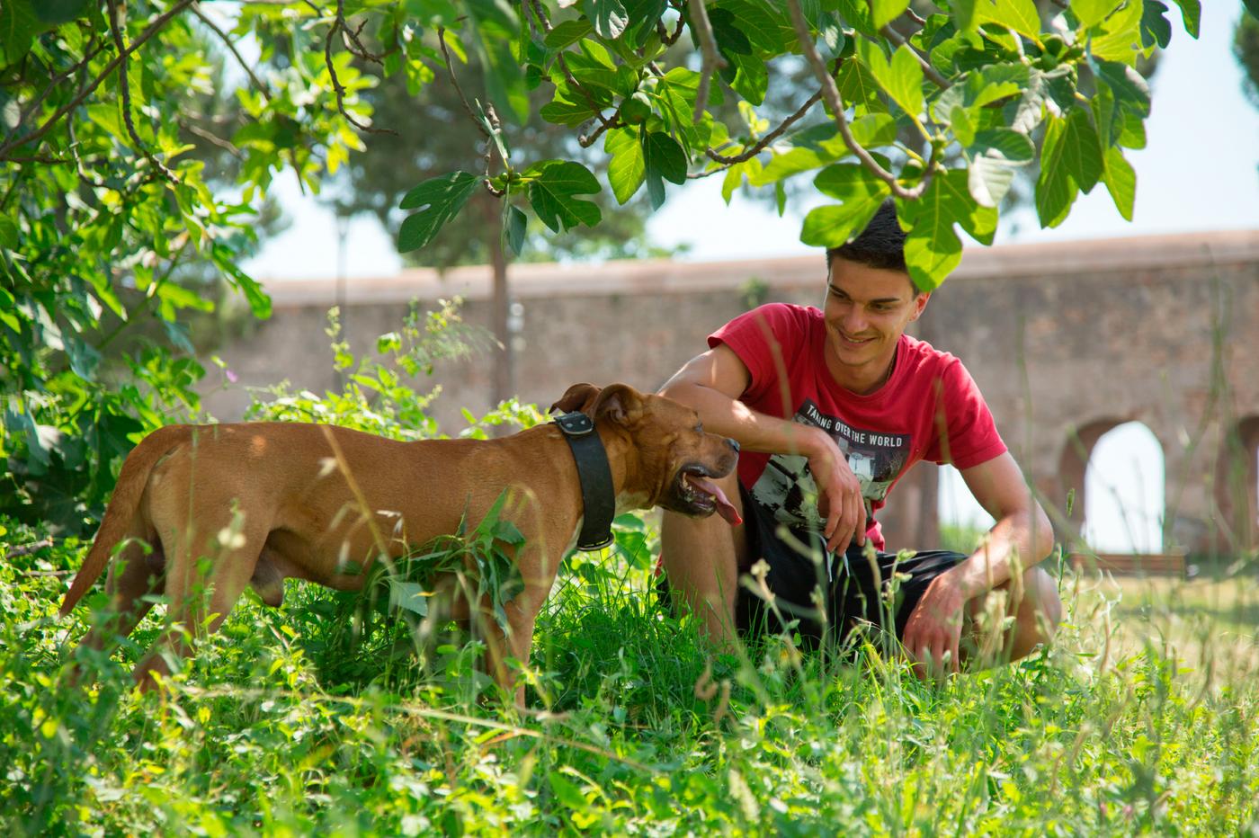 A young man kneeling to smile at his brown dog, in the grass and shaded underneath a large tree.