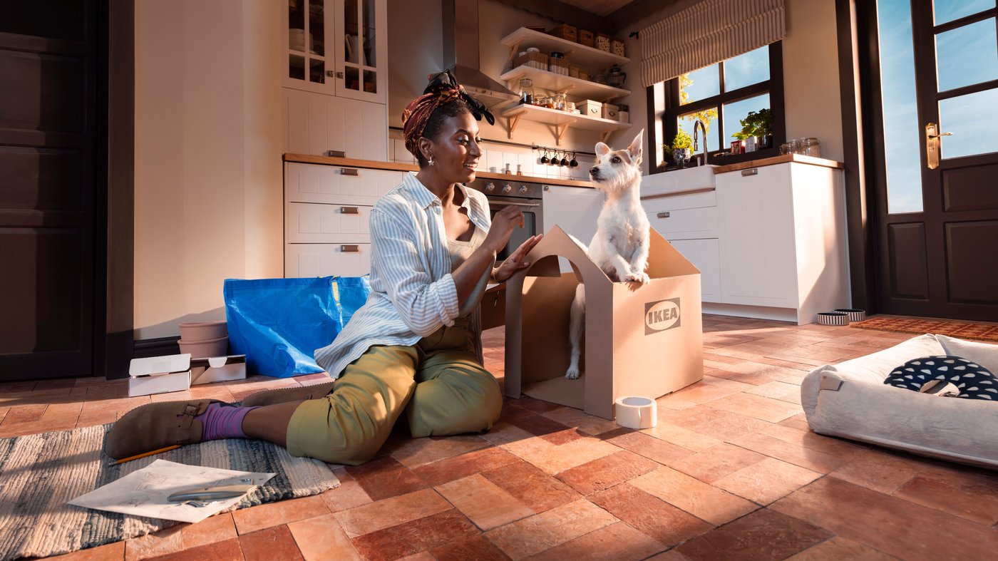 Descarrega les instruccions