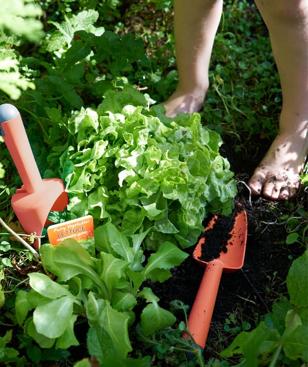 Accessori per il giardinaggio in plastica rossa tra le piante di un orto - IKEA