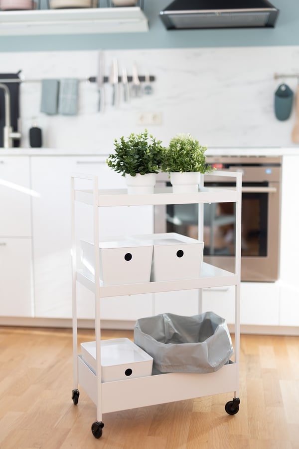 Аккуратно организованный кухонный шкаф с чашками, тарелками, стеклянными банками и френч-прессом
