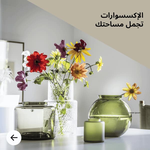 الاكسسوارات