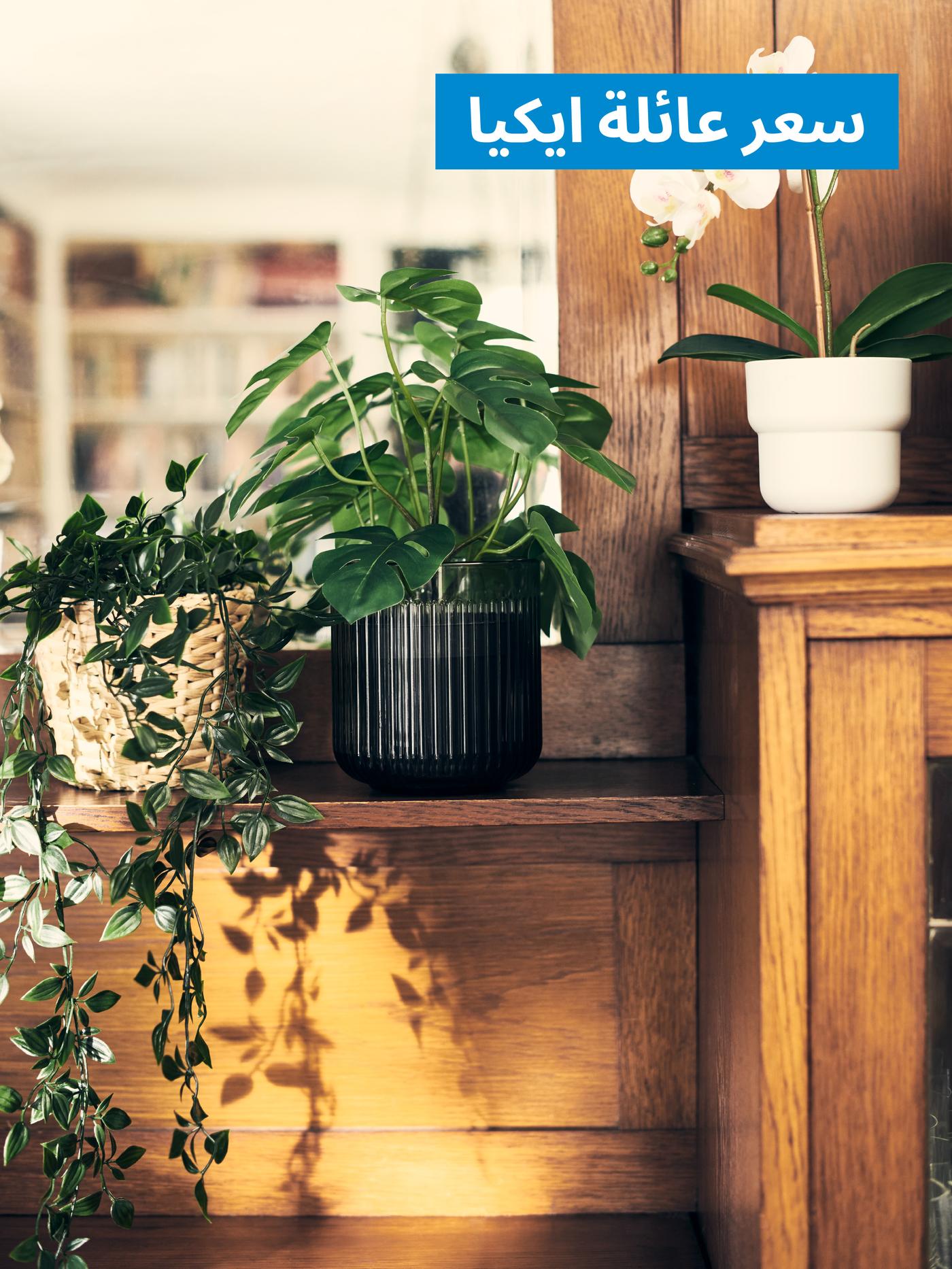 الزينة والديكور