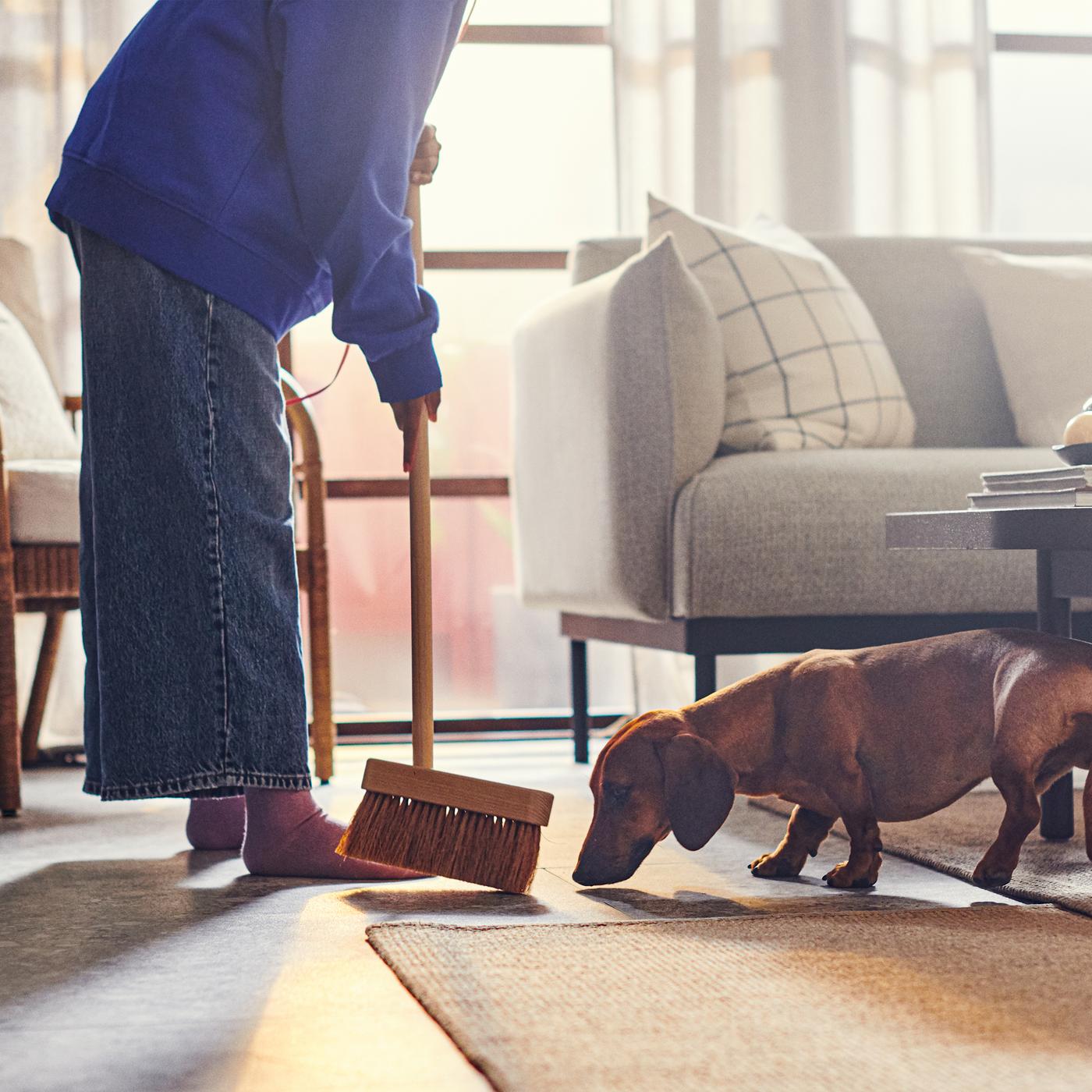 An adult sweeps the floor next to an ÄPPLARYD sofa in light grey and a VODSKOV jute rug. A dog sniffs the broom.