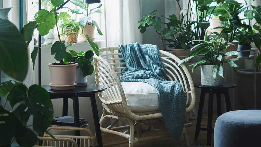 How To Create A Relaxing Indoor Oasis With Plants