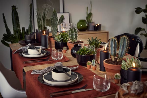 An autumn table setting with dark and beige tableware, red rust table mats and cactuses as decoration