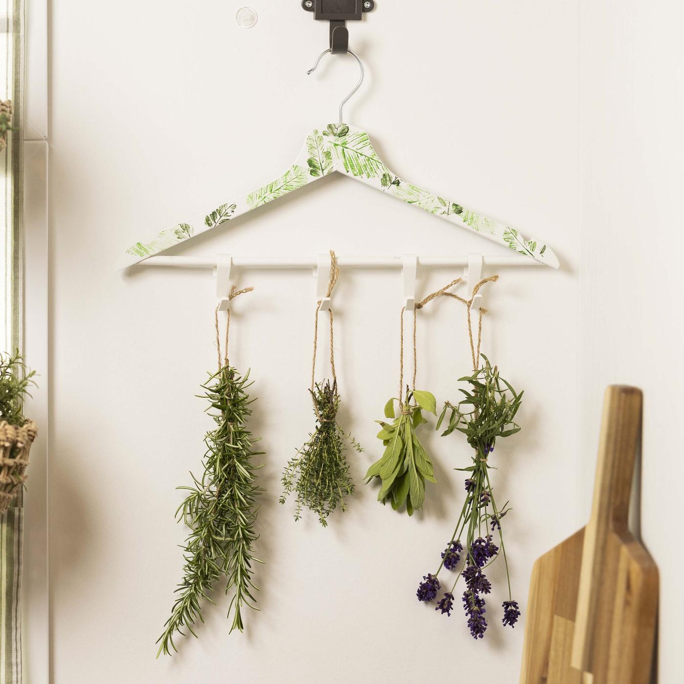 An einer Wand hängt ein Kleiderbügel mit 4 Pflanzen daran. 