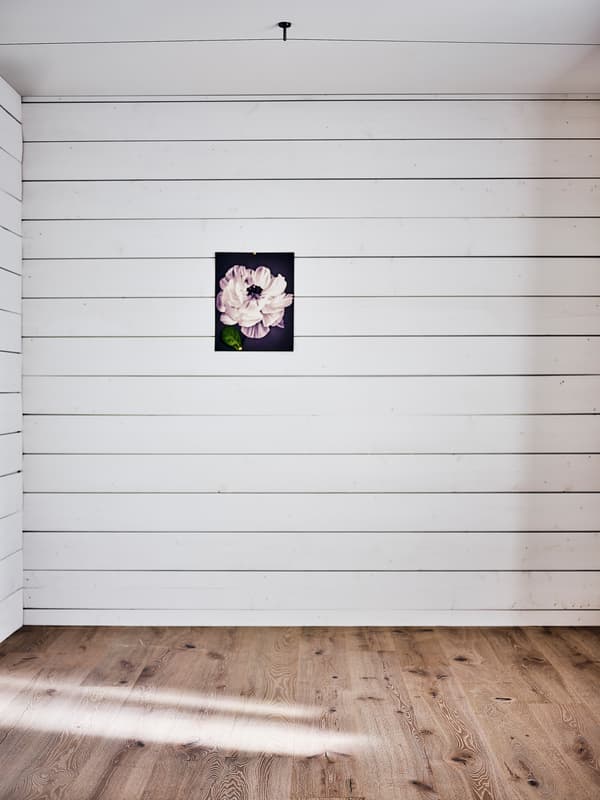 An empty bedroom with white wood-panelled walls and a light wood floor and a picture of a flower on the wall.