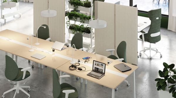 An office with birch desks and green chairs