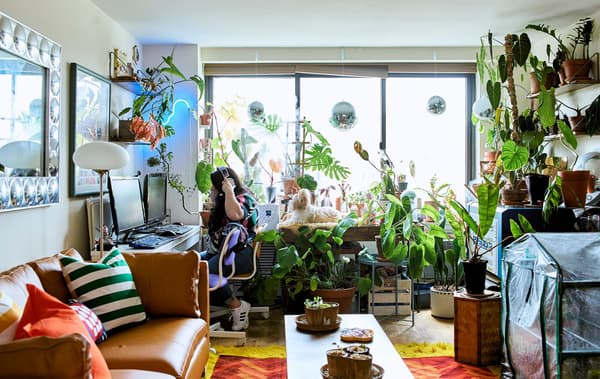 An open-plan living area with a plant display and workspace in front of a window.