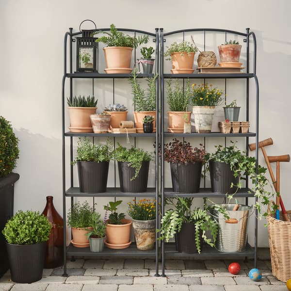 An outdoor area features a grey LÄCKÖ shelving unit with several potted plants and flowers in terracotta pots.